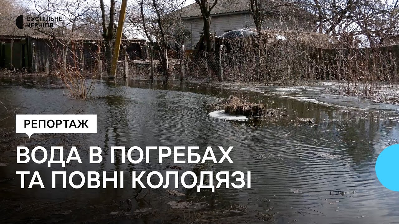 У Шаболтасівці на Чернігівщині у людей затопило погреби: як рятують свій врожай