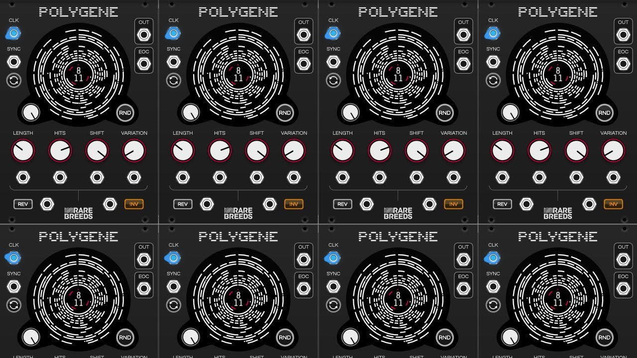 Instant Rhythms 2: Polygene by RareBreeds