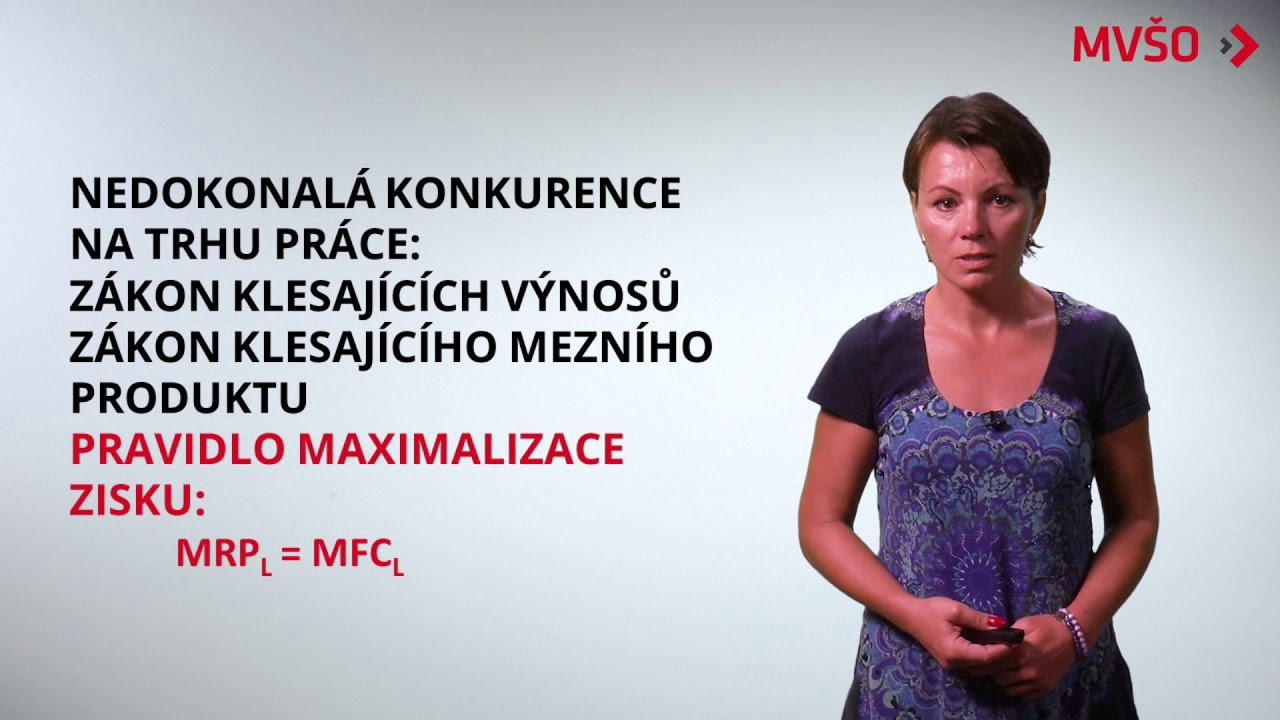 DK NK na trhu práce | EDULAM