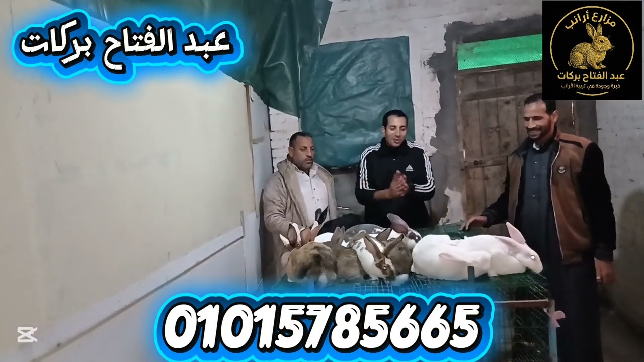 الرجاله جايه من العامريه عشان تستلم الشغل بتاعها