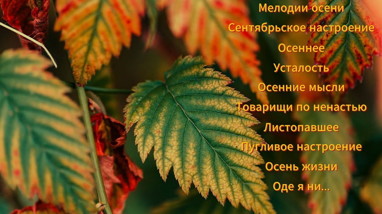 Мелодии осени (альбом)