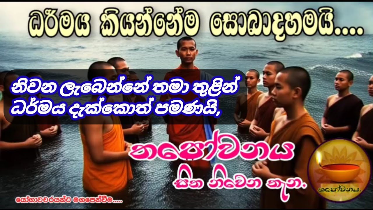 බුදුරජාණන් වහන්සේගේ දහම තමා තුළින් දකින දහමක් #Thapowanaya සිත නිවෙන තැන🏵