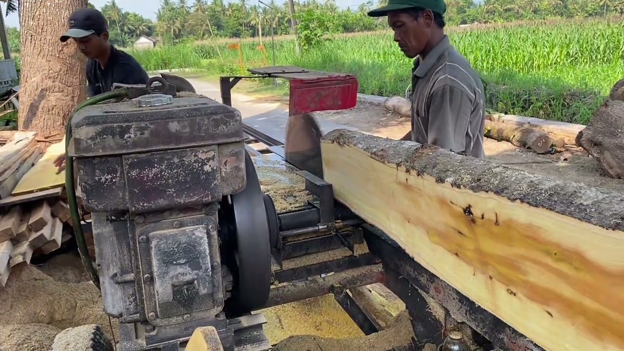 Membelah kayu nangka yang ada pakunya 😁
