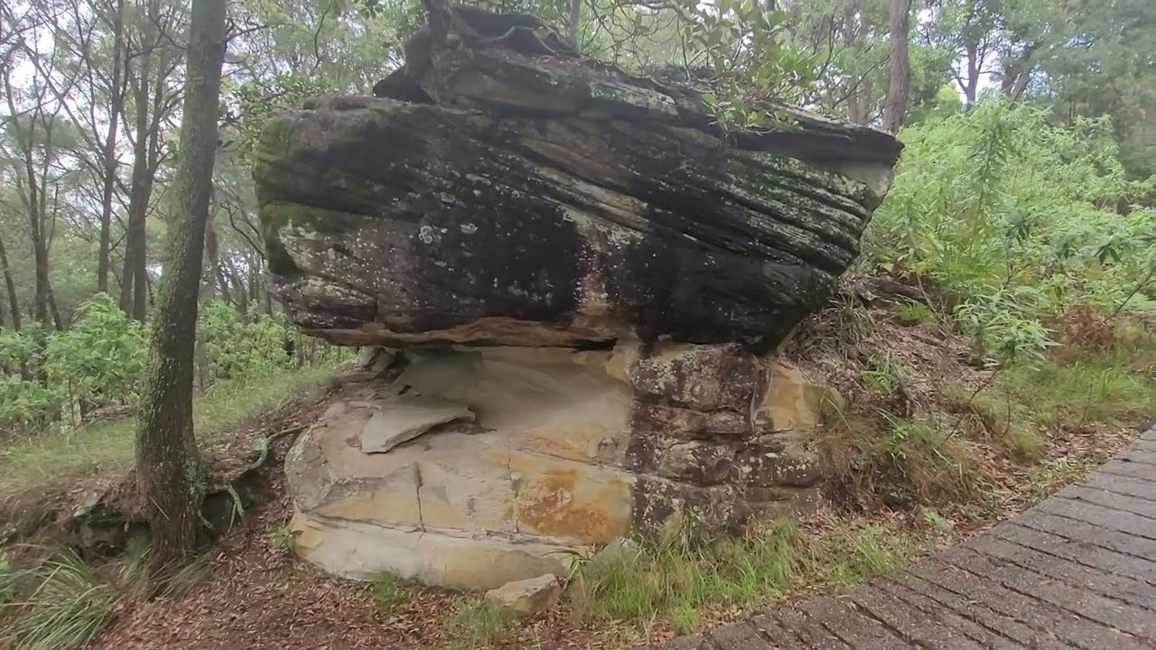 AB down under - The Basin Track, Pittwater