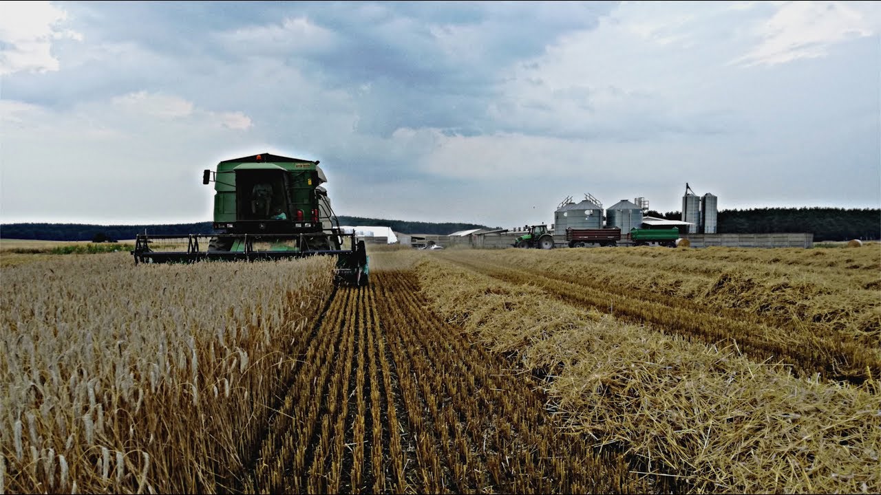 Żniwa 2017 **Pszenżyto*John-Deere* Deutz-Fahr/HW*Wielkopolska**