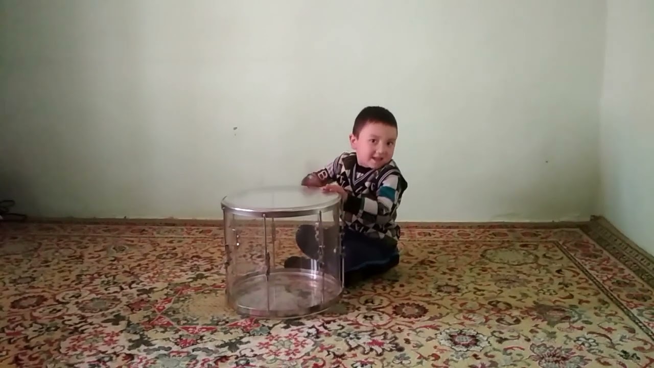 Abdulaziz dovulchi. Dovul chalishni oʻrganing