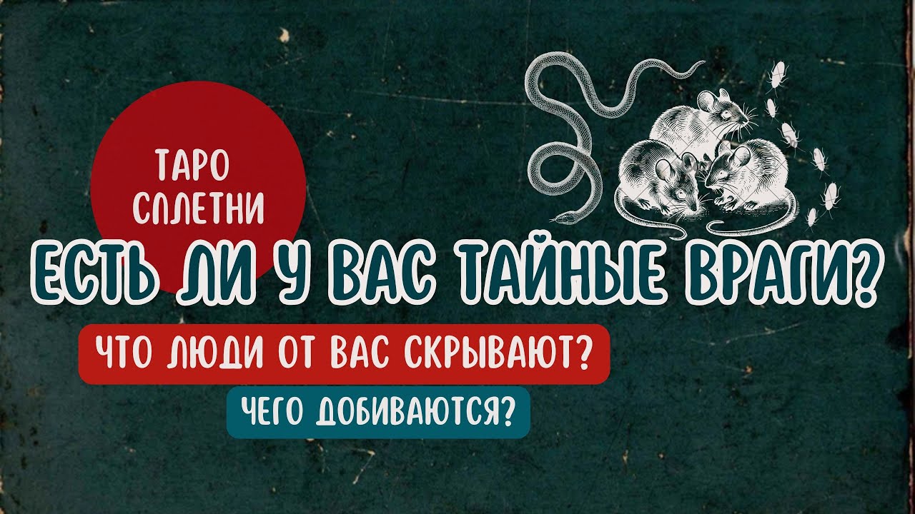 Есть ли у вас тайные враги?👹Таро расклад