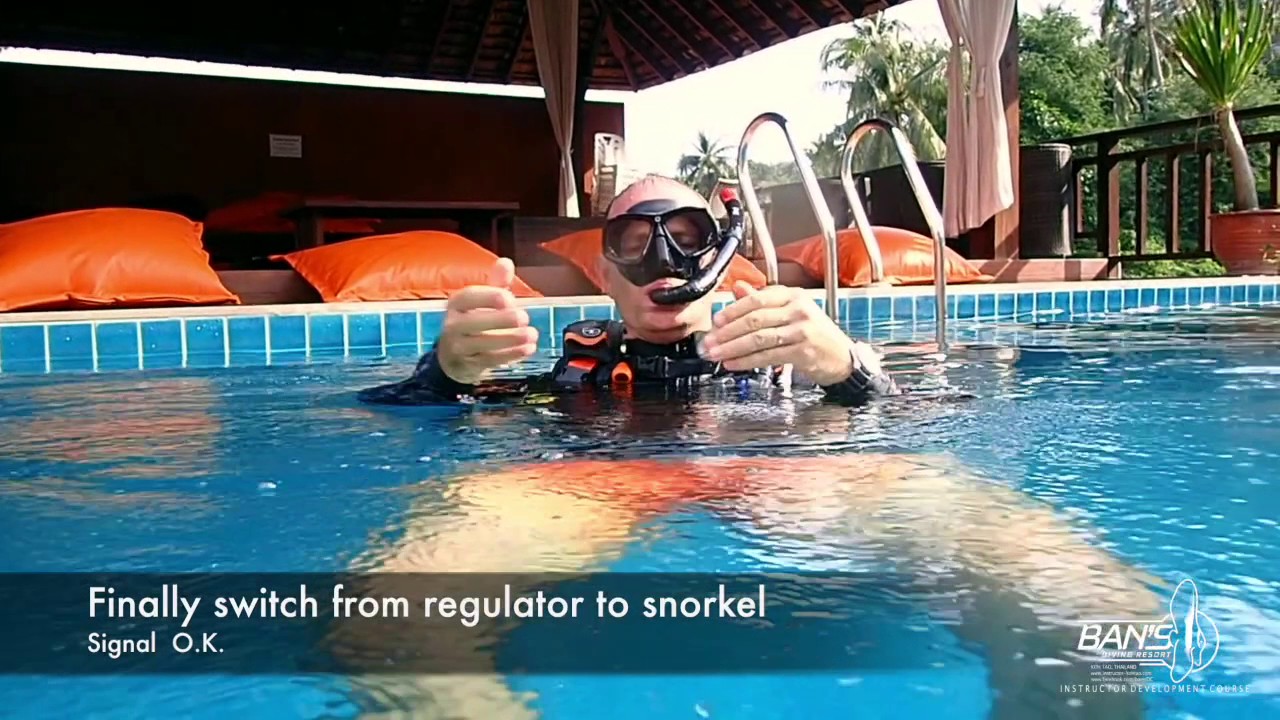 PADI Skill Circuit Full - Divemaster course and IDC