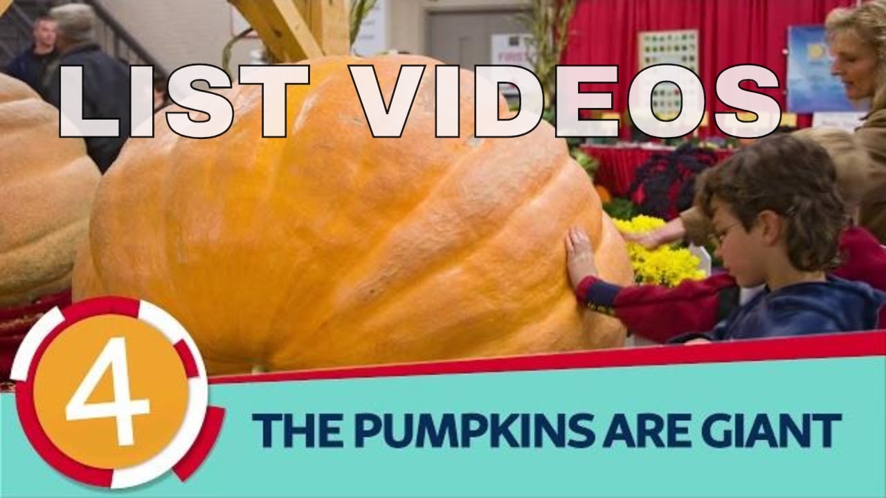 Top 10 Things You Didn't Know About the Royal Winter Fair