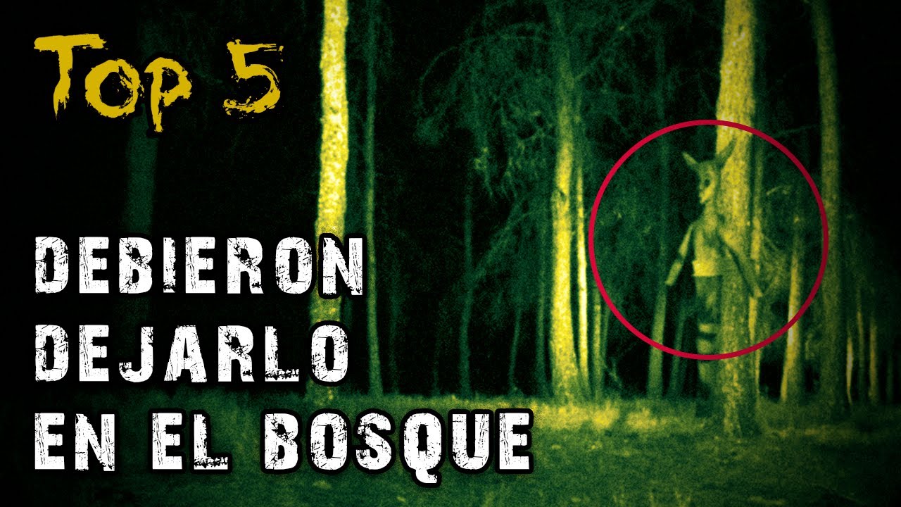 Top 5 ENCUENTROS MACABROS en BOSQUES | El Mutts Terror