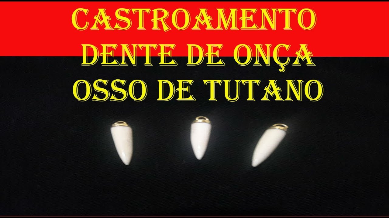 Castroamento Dente De Onça   Osso De Tutano