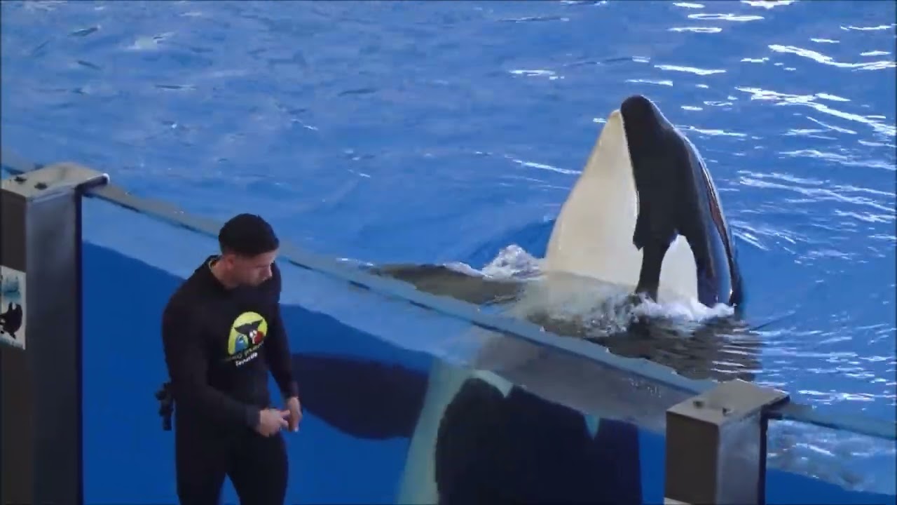 Loro Parque