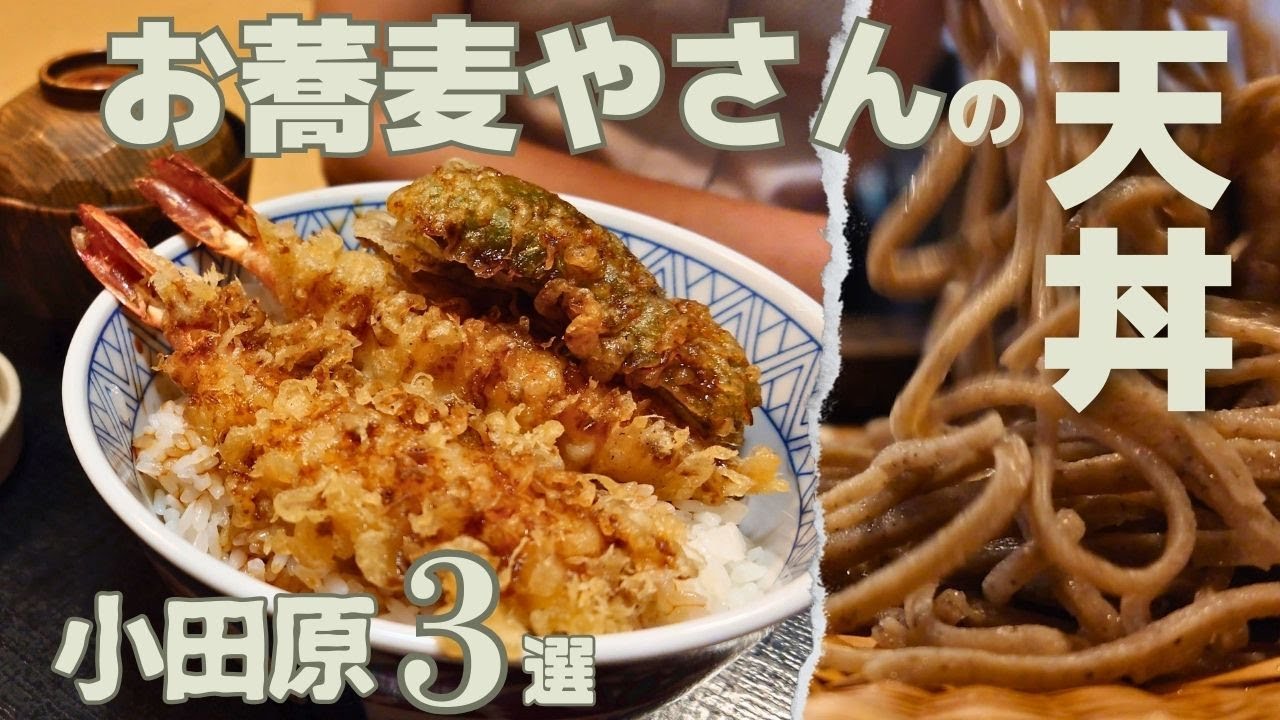 【お蕎麦屋さんの天丼3選🍤小田原】ひっそりと佇む老舗で出会った至福の天丼🦐Blissful tempura rice bowl at a hidden soba shop🦐荞麦面馆里邂逅的至福天丼