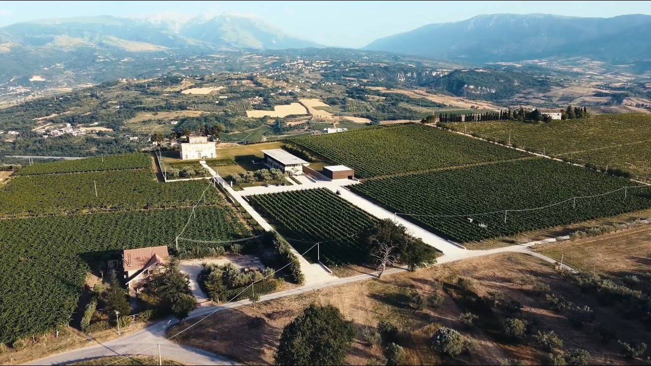 Consegna SAME - Azienda Castorani