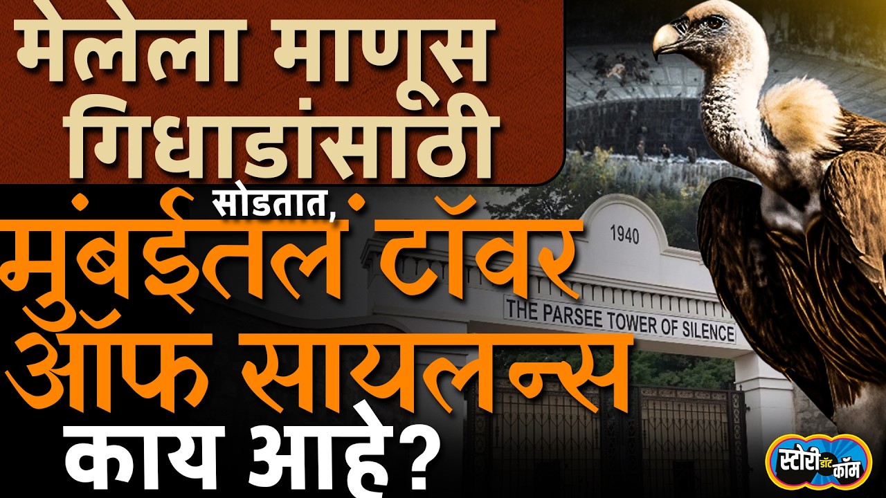 आधी श्वान, नंतर मृतदेह गिधाडांसाठी सोडतात, मुंबईतल्या Tower of Silence ची स्टोरी | Story Dot Com