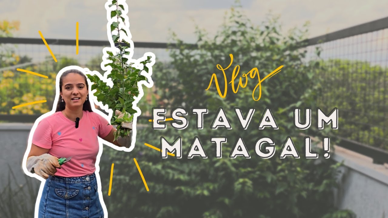 Transformando o Jardim da Casa Nova (Vlog e Organização Doméstica)