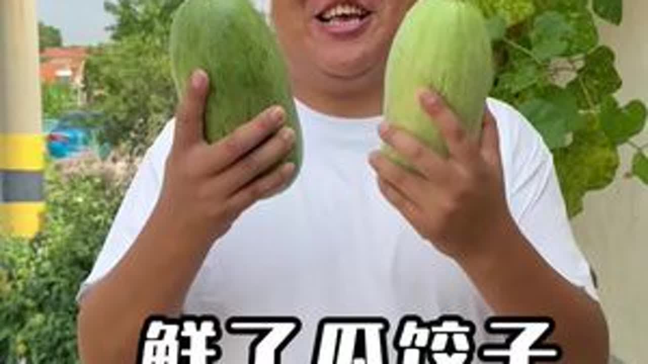 今日立秋，您吃饺子了没？鲜了瓜水饺，鲜掉眉毛！#记录好好的自己 #新农人计划2025 #农村美食 #水饺