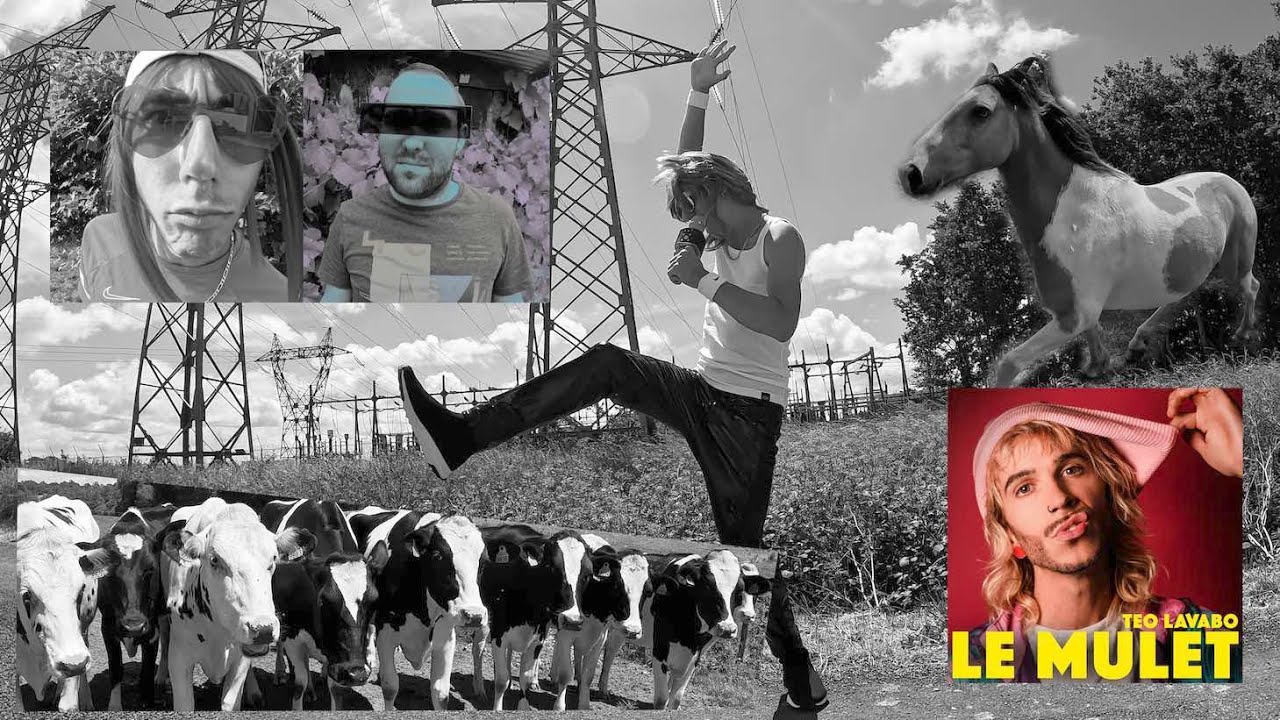Téo Lavabo - Le Mulet (VJCLIP) 4K