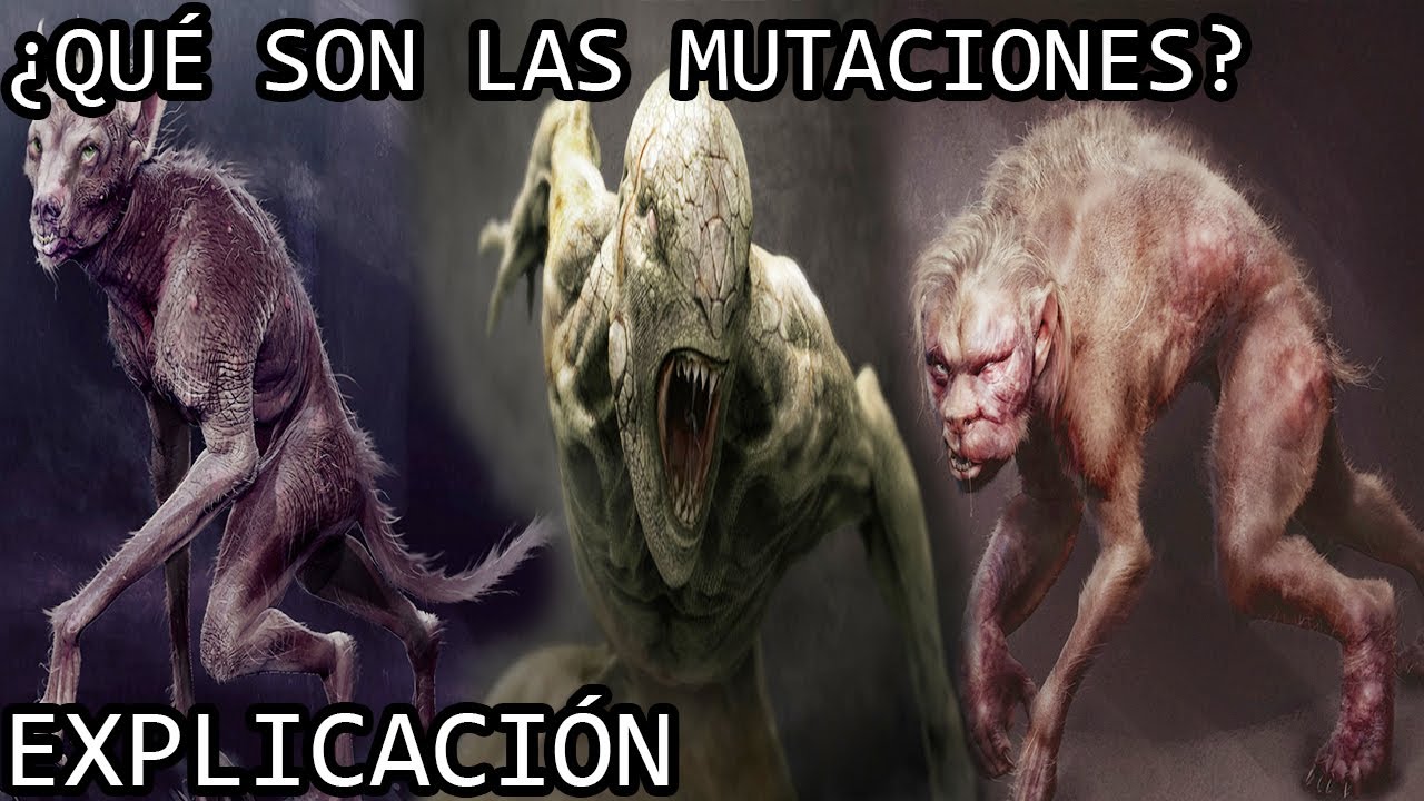 ¿Qué son las Mutaciones de los Juegos del Hambre? | Los Mutts o Mutos de The Hunger Games Explicados