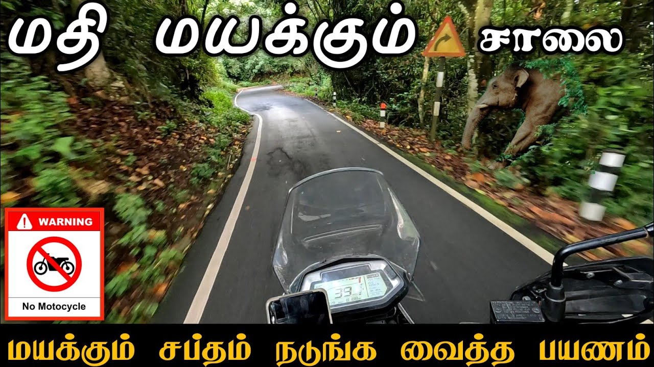 கொலை நடுங்க வைத்த சாலை 😯 காட்டில் கேட்ட மர்ம சத்தம் 😳 Mysterious noise in the thick forest #danger
