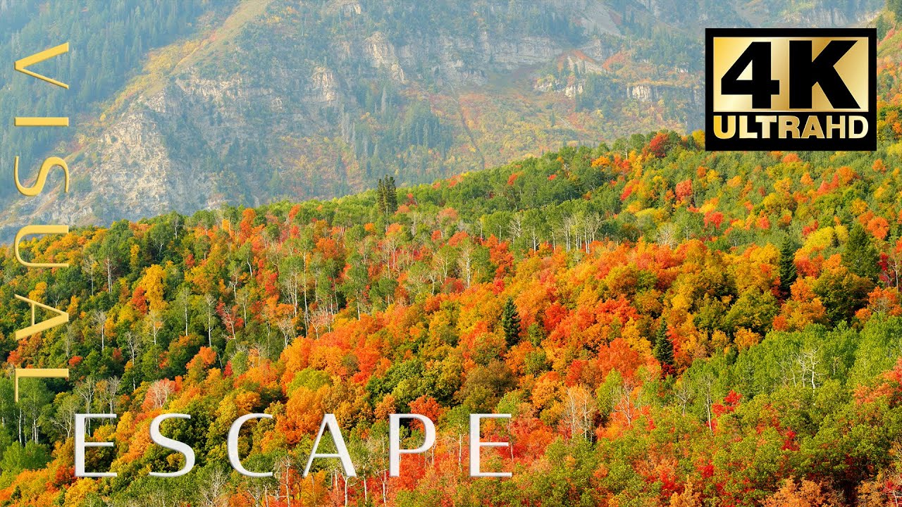 Countryside Autumn Aerials | Nature Drone Footage in 4K | Sleep and Meditation Music 🍂