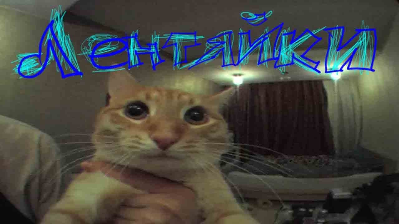 djmyxa, zombarikDJunior - Лентяйки (премьера клипа, 2027 в mp4)