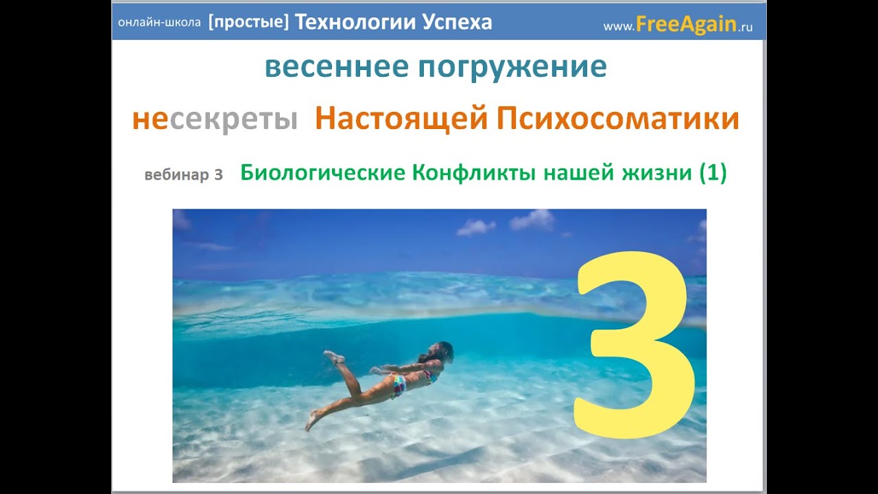 Егор Миронов Весеннее погружение 2019 Вебинар 3 28 марта запись