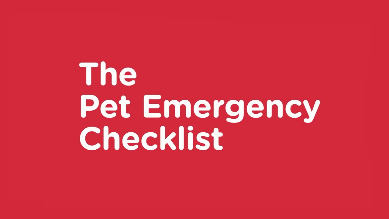 The Pet Emergency Checklist - Vets Now Pet Safety Advice