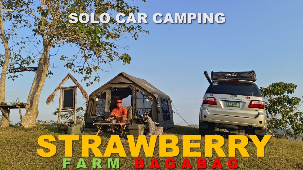 SOLO CAR CAMPING | Ep49 : Strawberry Farm | Coody Tent 8.0