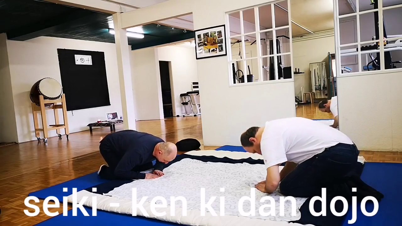 seiki - short film /  seiki dojo:  ken ki dan, switzerland