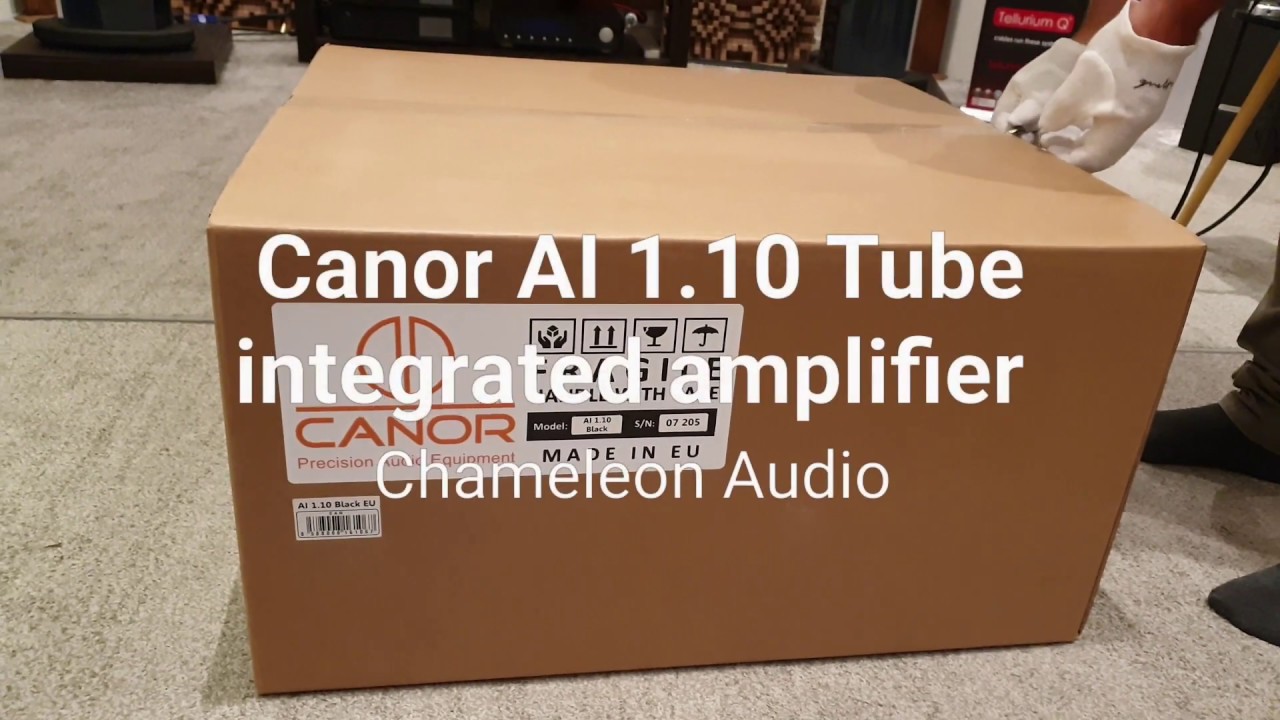 Canor Audio AI 1.10 Tube integrated amplifier unboxing
