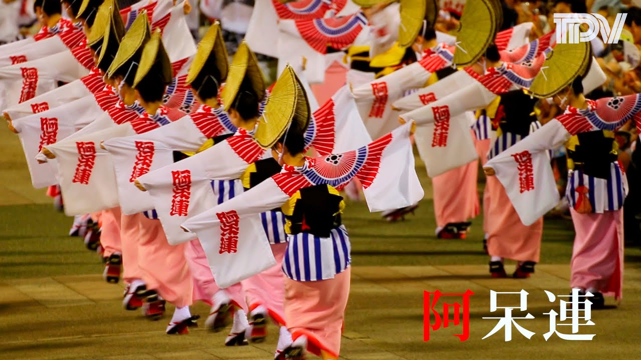 豪快で華麗 阿呆連の阿波踊り 