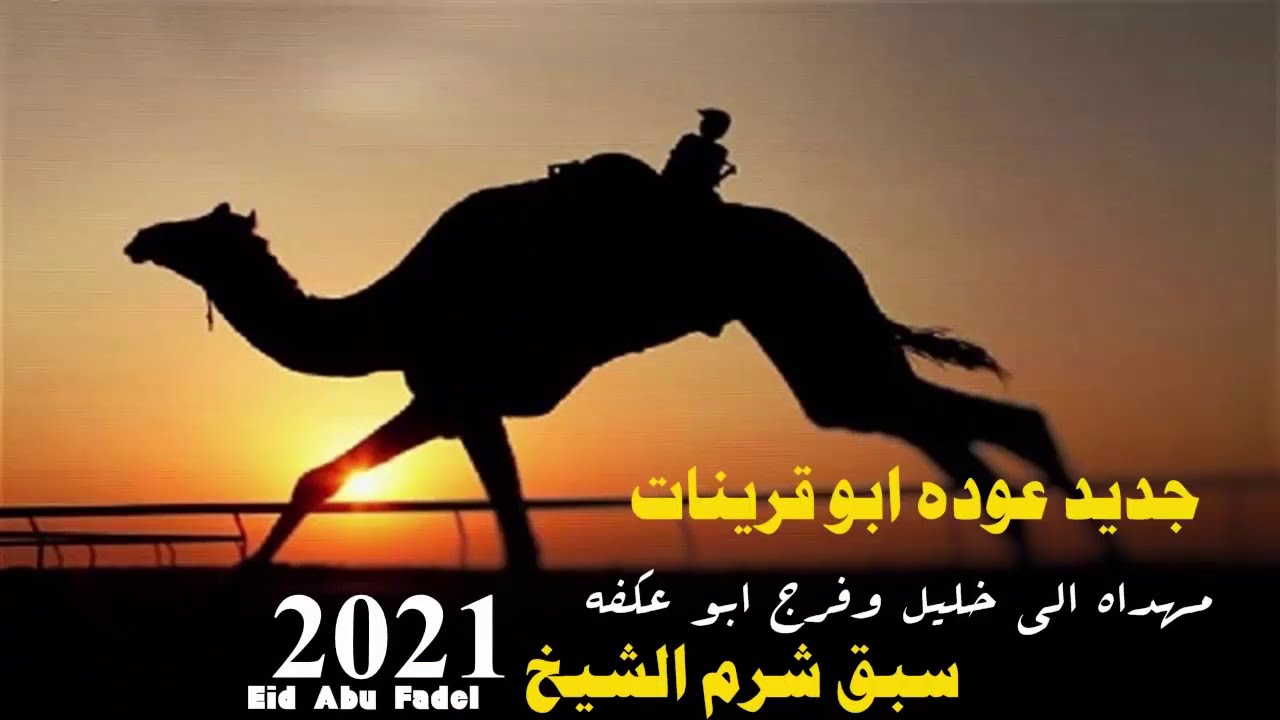 لهجة ناار2021 عوده ابو قرينات - سبق شرم الشيخ || مهداه الى خليل وفرج ابو عكفه الاحيوات