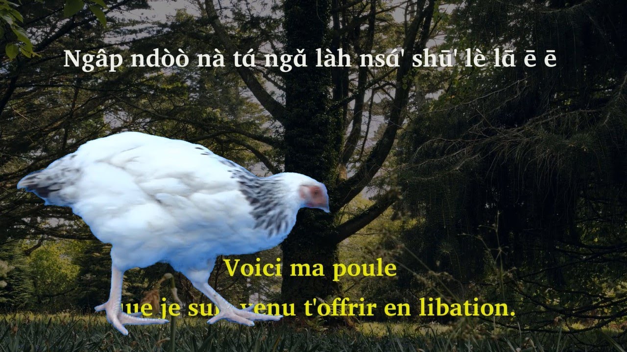 Lyrics chanson Nùfī (Bafang) Pēn pò' zǎ : Par Mbʉ̂' Mòōntʉ̀ɑ̀'