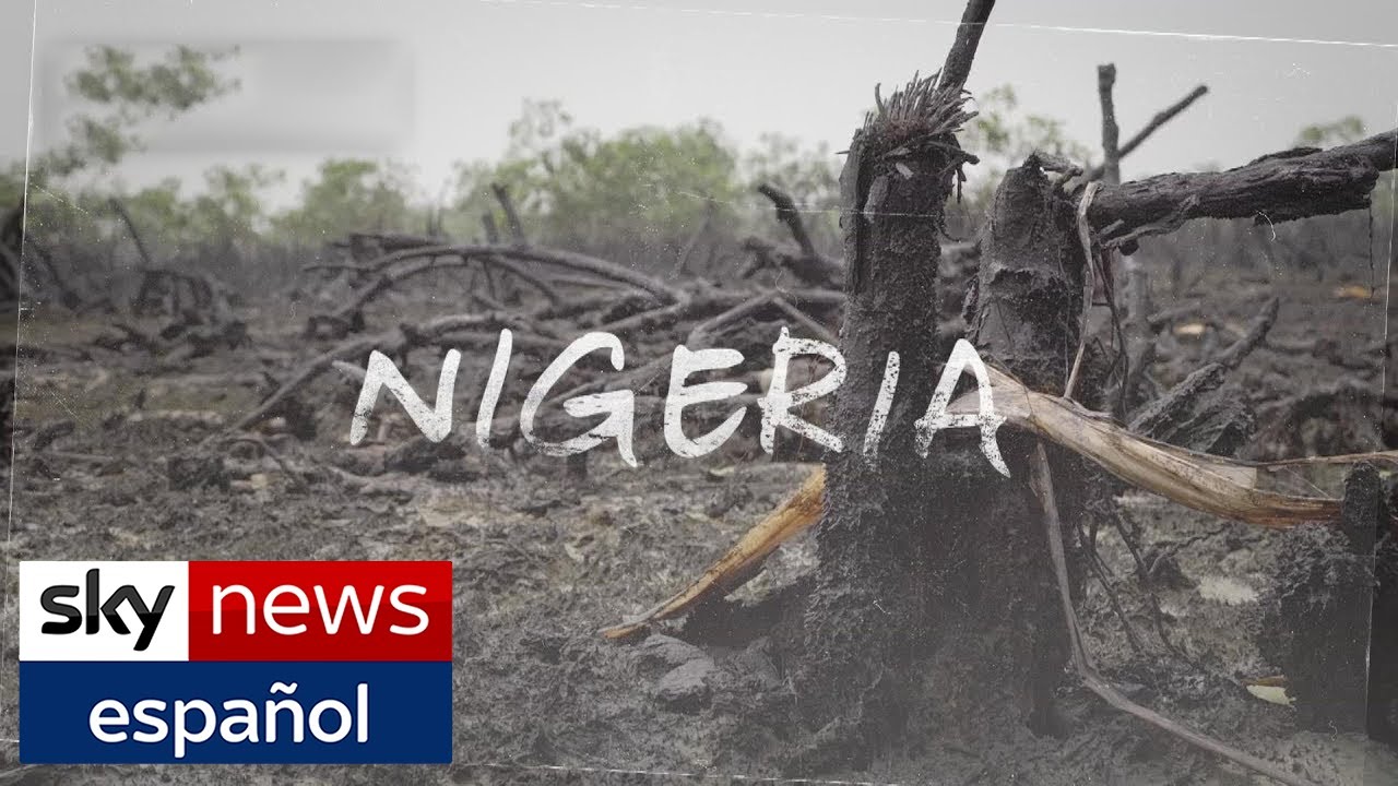 Los Ladrones De Petróleo Nigerianos Quieren Reconocimiento Como Legítimos | Documentales