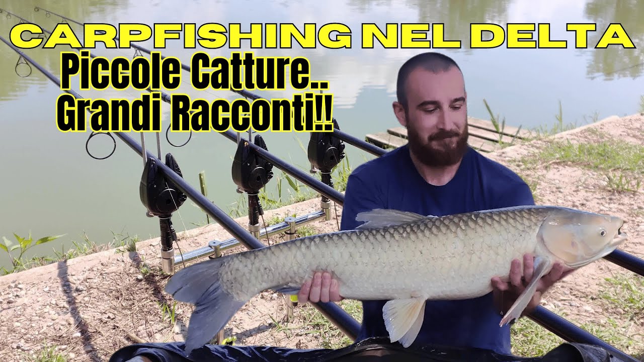 Carpfishing nel Delta - Piccole Catture..Grandi Racconti #carpfishing