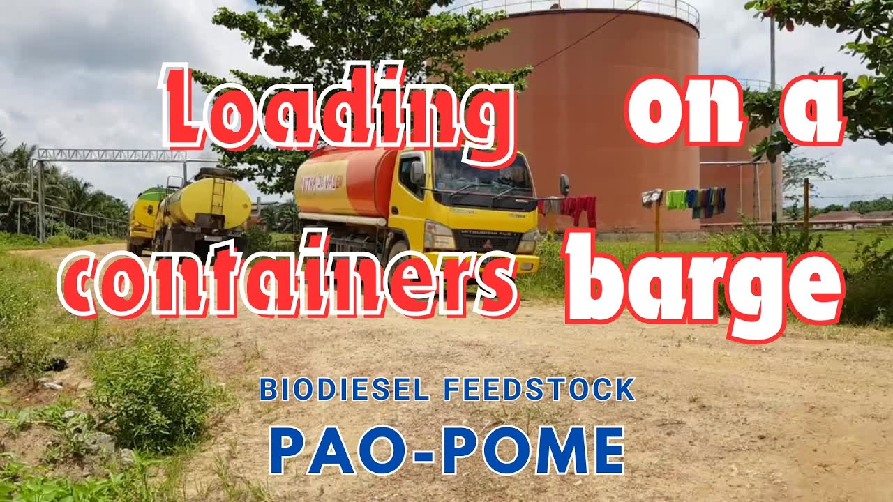 Expert Port Operator Shares Efficient Loading Techniques! #pao #pome