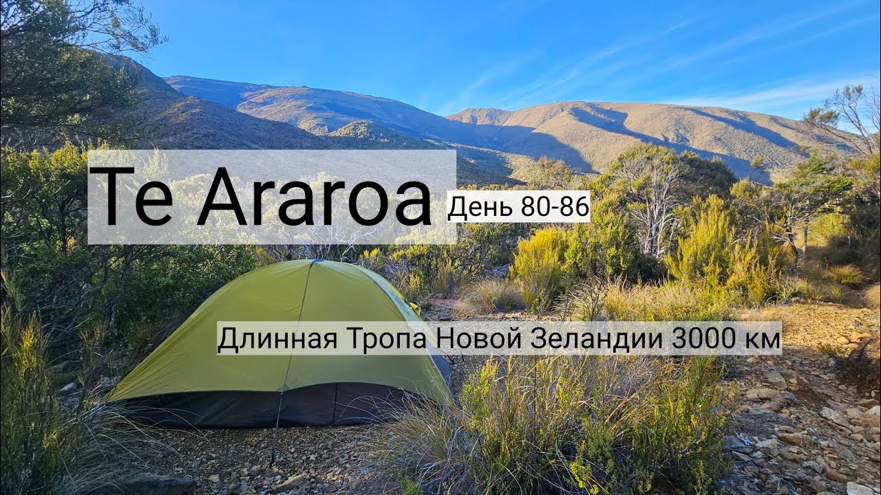 16. Te Araroa  - Длинная Тропа Новой Зеландии 3000 км День 80-86