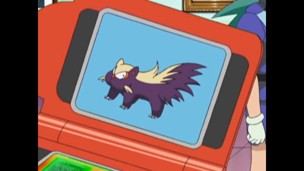 Stunky Pok&eacute;dex Entry..wmv