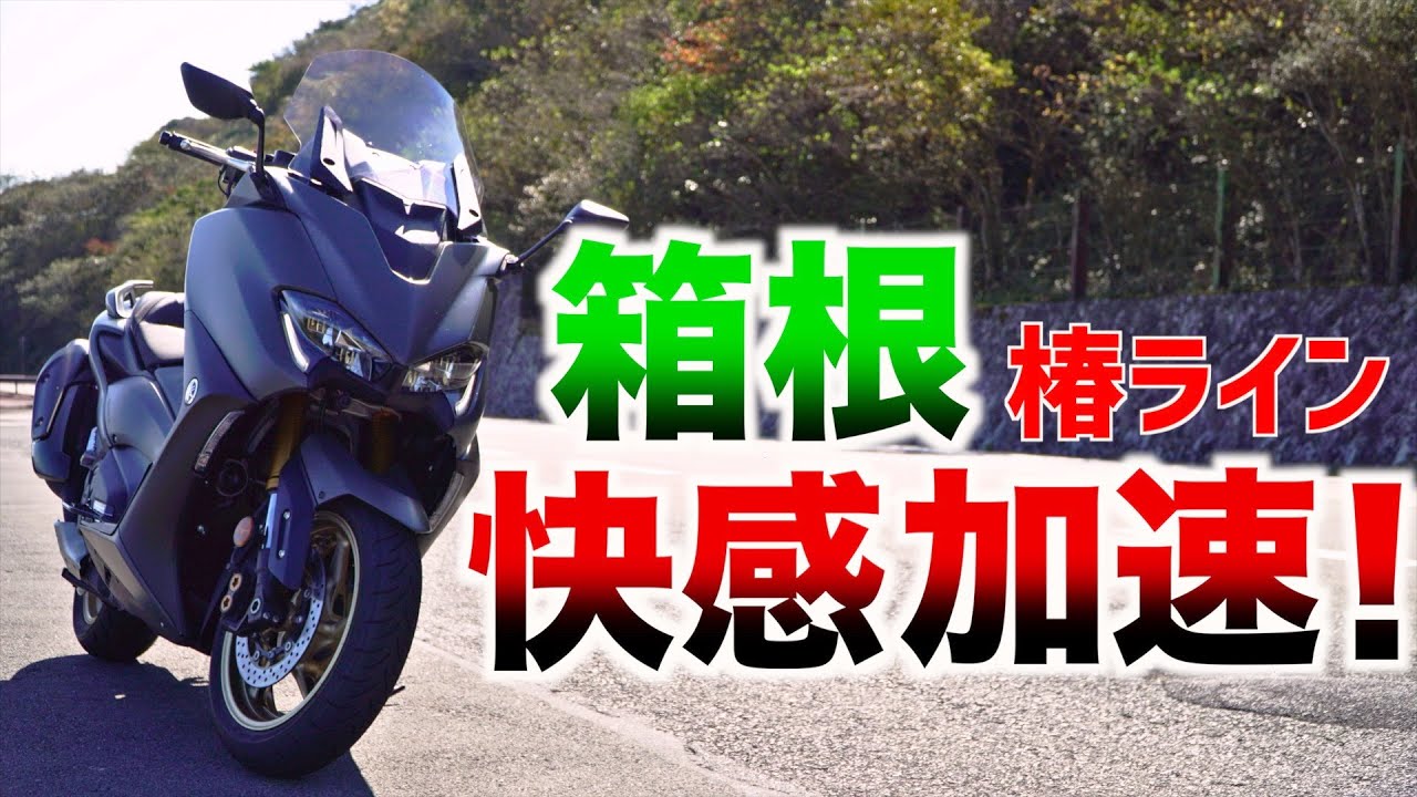 【TMAX560】箱根 椿ラインを走る! MotoVlog#5