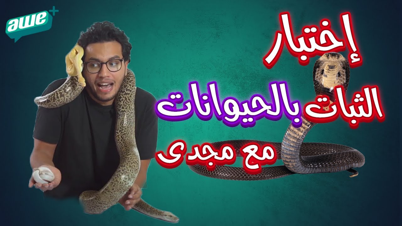 تحدي ثعباني حرفيا😂😂- #حاجات مشوفتهاش في خومس مية