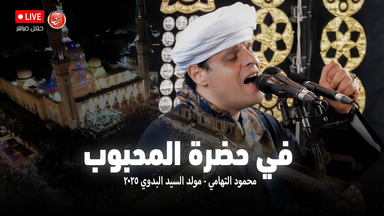 في حضرة المحبوب - محمود التهامي - مولد السيد البدوي ٢٠٢٥