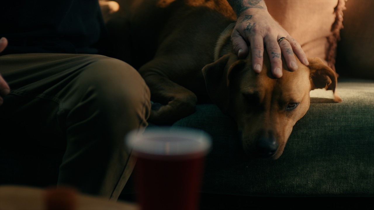 Dirty Heads - One of Those Days (oficjalny teledysk)