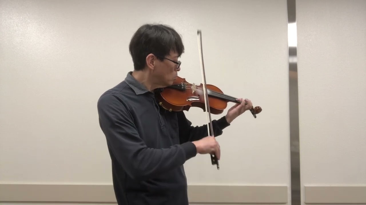 NeverEnding Story - Falkor Flight - violin cover