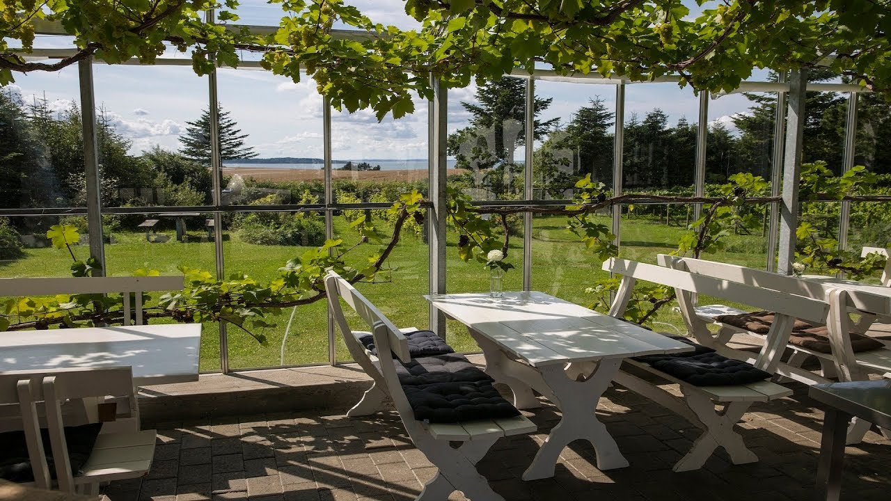 Skøn dansk vin på Limfjordens breder - Glenholm Vin