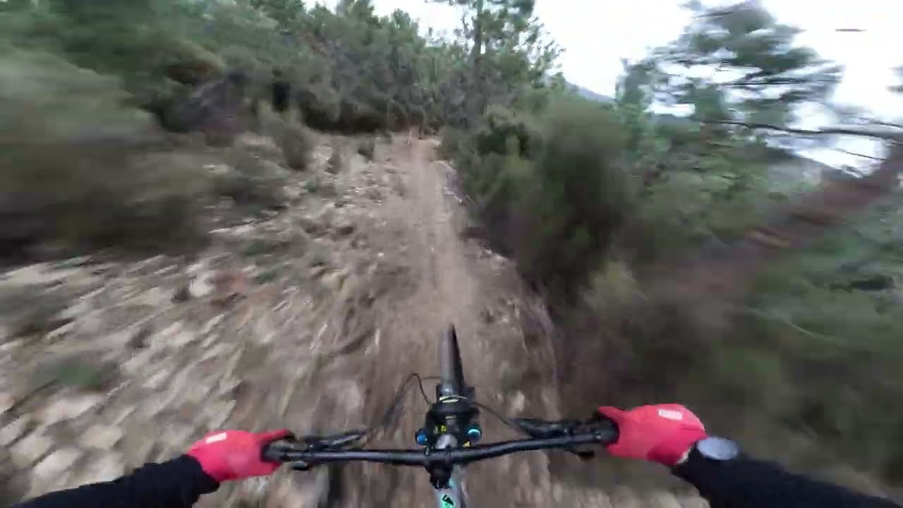 CELTIC LINES MTB ENDURO 