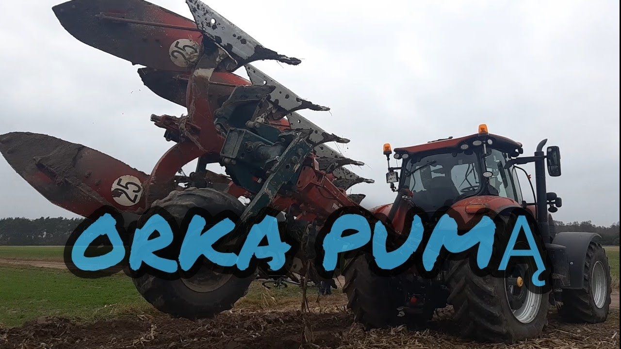 ⛔Orka Pumą⛔Case Puma 240 CVX&Kverneland EG 100🔥CAT🔥