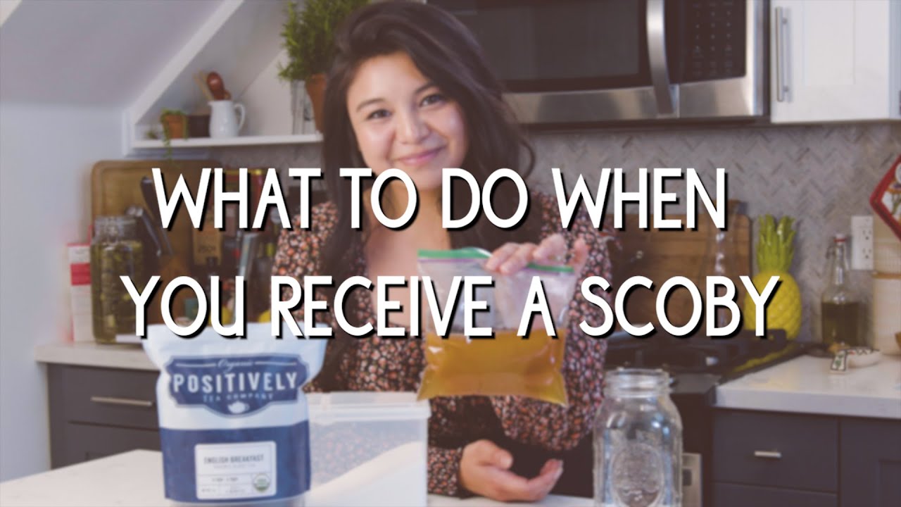 Что делать, если вы получили комбучу SCOBY