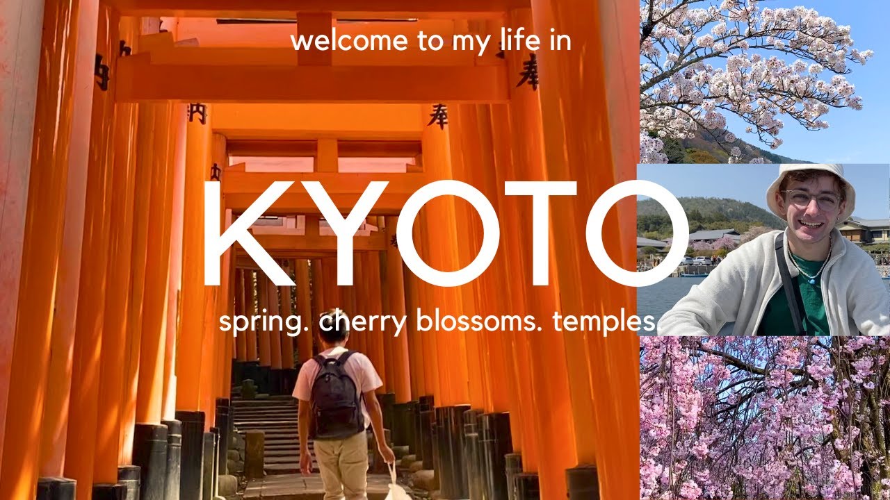 Spring in Kyoto | Cherry Blossom Hunting + Fushimi Inari 1000 Gates | Life in Japan Travel Vlog🇯🇵