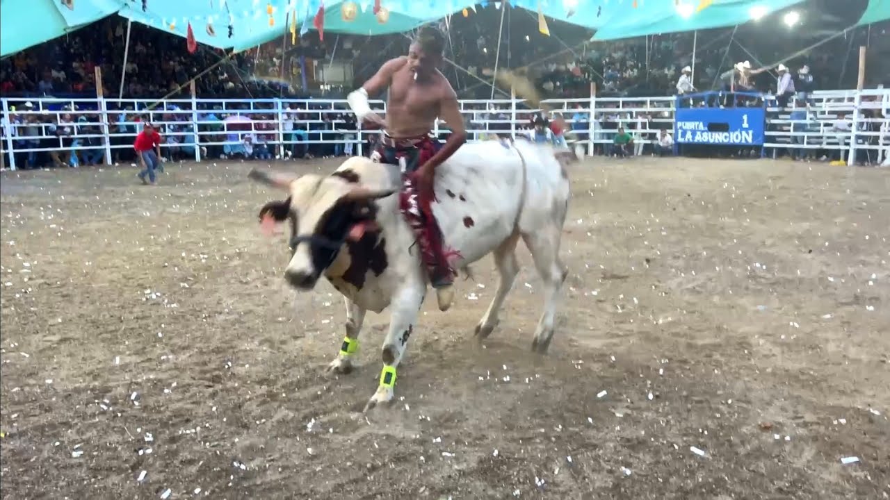 Asi fue la monta donde se hizo viral el Chompas de la Guadalupe en El Tule Oaxaca